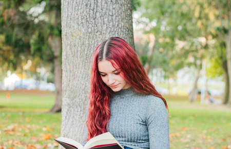 Young person with red hair and a gray sweater reading a book in the park. Concept of literature, education, study, nature and relaxation. Lifestyle and culture.の写真素材