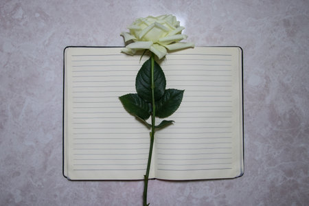 Notebook with rose on desk