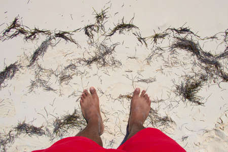 Feet in the sand with sargassumの写真素材
