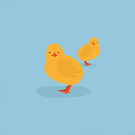 Chicken vector illustrationのイラスト素材