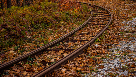 Railway rails in autumn leavesの写真素材