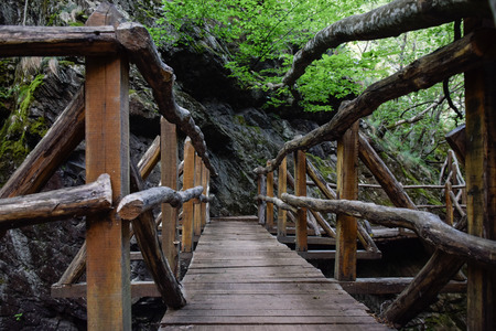 Wooden bridge in bulgarien forest. Way to the forrest - National Nature Reserveの写真素材