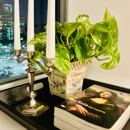 A tray contains some books, plants and a candlestick with three white candles. In the background a glass window facing the street.の写真素材