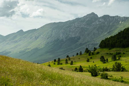 Different green tonalities of mountains in Abruzzoの写真素材
