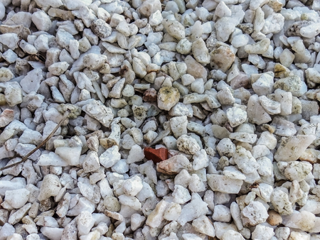 Texture white little Stoneの写真素材