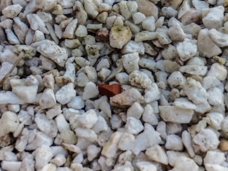 Texture white little Stoneの写真素材