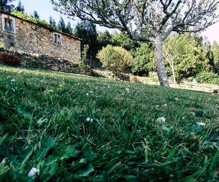 An Abandoned house behind of a apple treeの写真素材