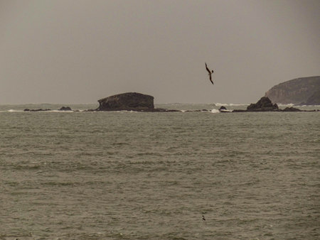 image of the miranda islands captured from the coast of Pontedeumeの写真素材