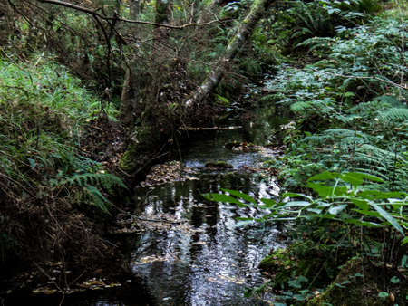 Image of the Course of Session river. A Cappella, Galicia, Spainの写真素材