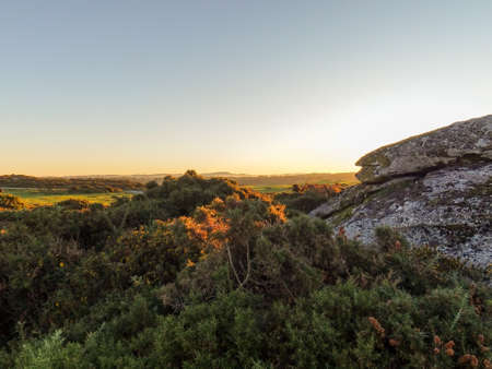 Image of the sunrise in the forgoselo parkの写真素材