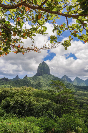 Image of the interior of the exuberant island of Moorea in the French Polynesiaの写真素材
