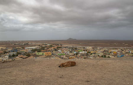 Dog In the Top of The Moutain, Resting,  with the City Of Espargos, Cape Verde behind itのeditorial素材