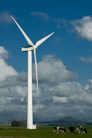 Wind turbine on green field with cows in the foregroundの写真素材