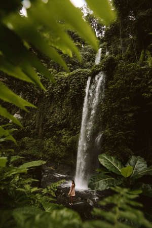 a girl poses in a bikini in a waterfall in a forest in baliの写真素材