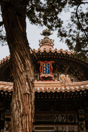 Detail of one of the interior constructions of the forbidden city in beijingのeditorial素材