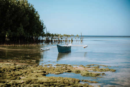 typical filipino boat on the bohol coast in the philippinesの写真素材