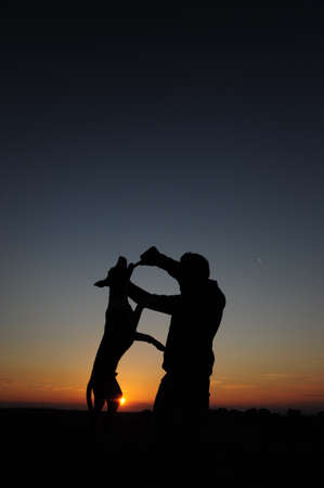 Man with stick is training and educating of the dog. Young man is playing with labrador retriever on the meadow during golden sunset.の写真素材