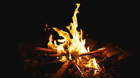 A small camp fire.