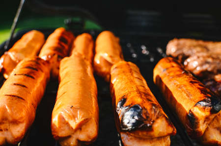 The hotdogs have visible grill marks and take up most of the photo. The hamburgers are in the back of the photo.の写真素材