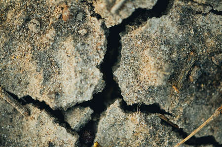 A close up of sand with some cracks. The focus is on the rest of the picture. The cracks have raised...