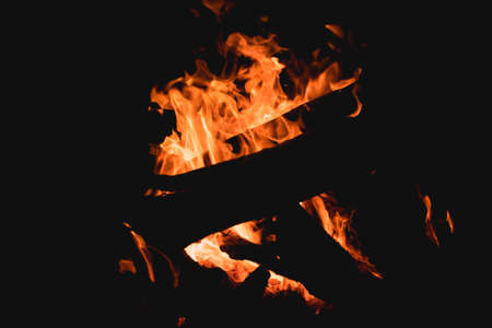 Small bonfire burning wood