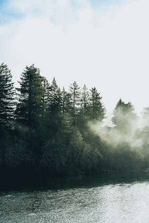 Misty river in the morningの写真素材