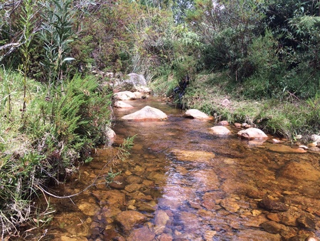 River in arcabucoの素材