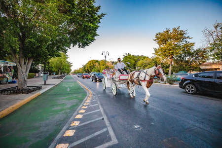 Horseride in a calandria in Merida, Mexico.の写真素材