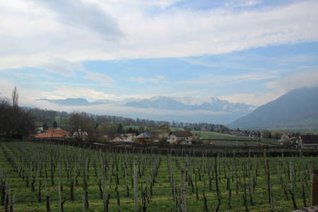 Farm land in the Swiss mountains, with the snow capped Swiss Alps behind の写真素材