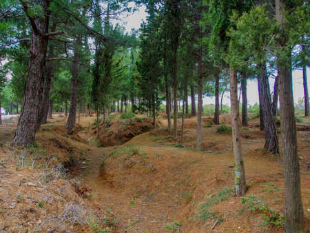 Remains of the 1915 ANZAC trenches at Gallipoli from World War 1 100 years old.の写真素材