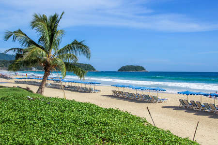 Relaxing beach chairs on the beach and palm tree.の写真素材