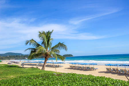 Relaxing beach chairs on the beach and palm tree.の写真素材