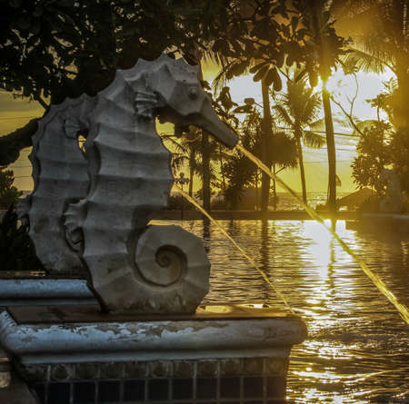 Seahorse fountain over swimming pool at sunset.の写真素材