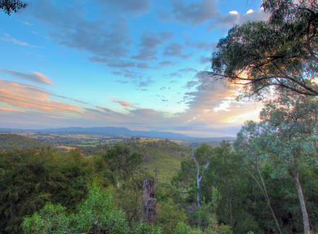 View of Australian bush in Victoriaの写真素材