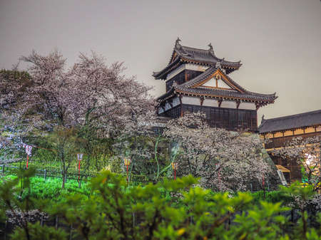 Koriyama Castle  with Cherry blossoms in Naraのeditorial素材