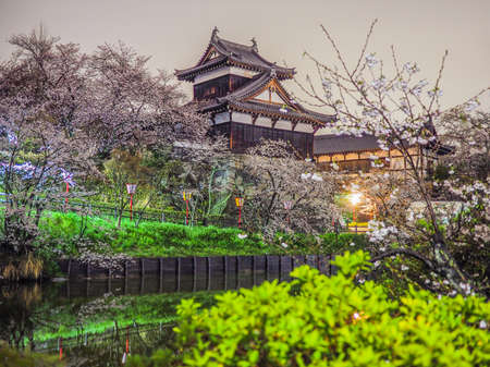 Koriyama Castle  with Cherry blossoms in Naraのeditorial素材