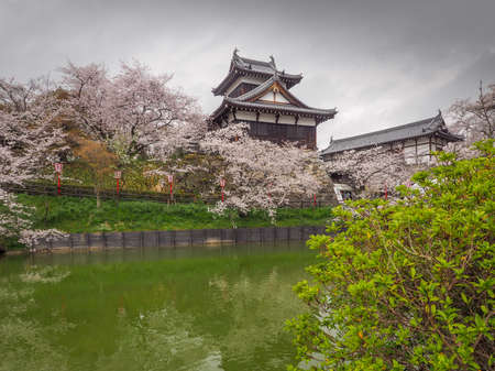 Koriyama Castle  with Cherry blossoms in Naraのeditorial素材