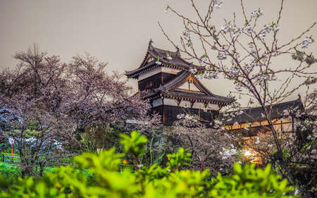 Koriyama Castle  with Cherry blossoms in Nara