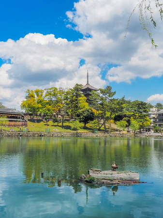 Sarusawa Pond with the five-storied pagoda of the Kofuku-ji Temple in Nara, Japanのeditorial素材