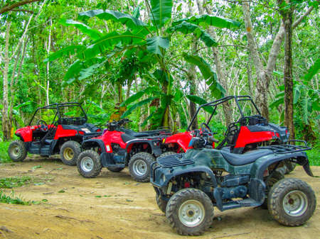 ATV Quad Bikes lined up in the  rainforrestの写真素材