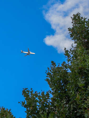 Comercial airplane flying over green treesの写真素材