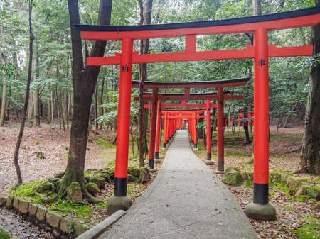 JAPAN, KASHIHARA - APRIL 12, 2017: Red Tori Gates of Kashihara shrine in Nara, Japanのeditorial素材