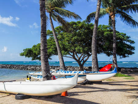 Canoes on a Hawaiian beach with break water and large tree in the backgroundの写真素材