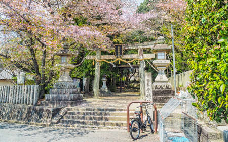 JAPAN, NARA - APRIL 16, 2017: Cherry Blossoms above the Torii gate of Tomi Shrine in Nara Prefectureのeditorial素材