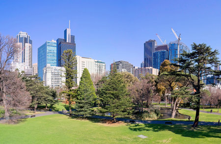 A peaceful view of the Carlton Gardens in Melbourne, featuring lush green lawns, mature trees, and a decorative pond. The scene is set against a backdrop of modern city skyscrapers and construction cranes under a clear blue sky.の写真素材
