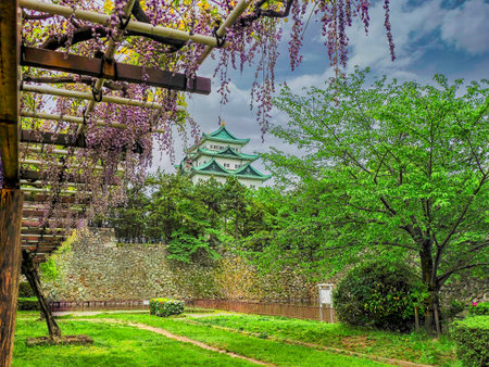 NAGOYA, JAPAN - 28 APRIL, 2019: A view of the reconstructed Main Keep of Nagoya Castle framed by spring wisteria flowers and green foliage. The historic castle is a famous landmark in Aichi Prefecture.のeditorial素材