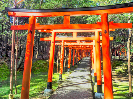 KASHIHARA, NARA, JAPAN - APRIL 12, 2017: Sunlight casts shadows through the row of red torii gates at Nagayama Inari Shrine in Nara. The vermilion pillars feature black Kanji inscriptions indicating the names of donors and dates of dedication.のeditorial素材