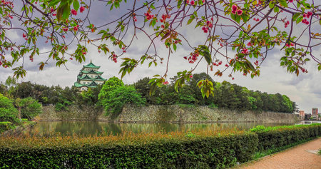 NAGOYA, JAPAN - APRIL 28, 2019: The Main Keep of Nagoya Castle viewed across the moat, framed by late-blooming pink spring cherry blossoms. The castle is one of Japan's most famous historic landmarks.のeditorial素材