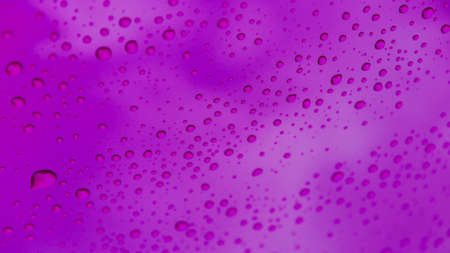 drops of water on purple glass.