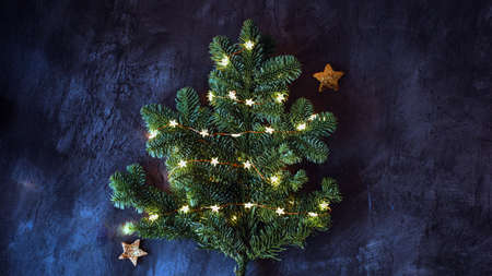 Black christmas background with fir tree
